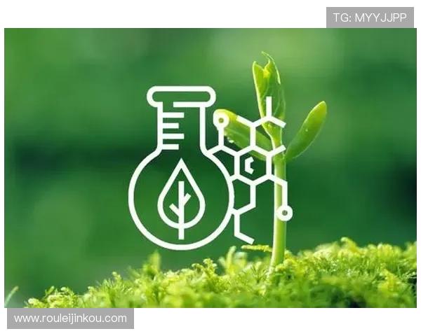 大发888官网未来发展规划与创新方向展望平台持续优化升级的动力 大发888官网未来发展规划与创新方向展望平台持续优化升级的动力