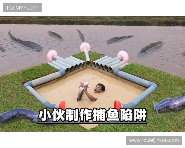 K8捕鱼电子游戏中的常见陷阱与防范措施保障玩家财产安全